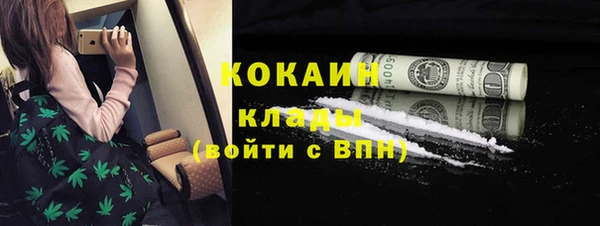 тгк Алексин
